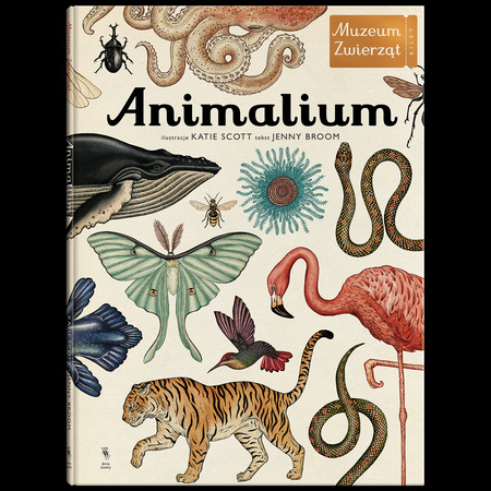 Animalium