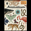 Animalium