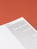 What you see is not here tomorrow - katalog z wystawy Radek Brousil