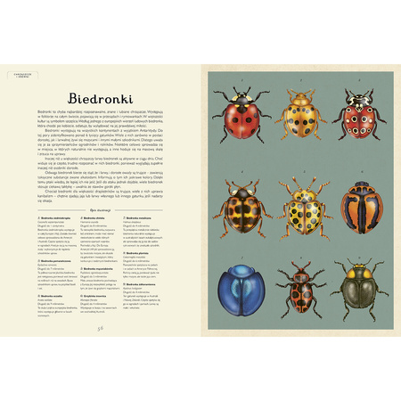 Insektarium