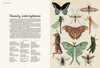 Animalium
