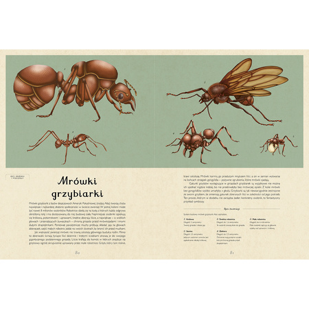 Insektarium