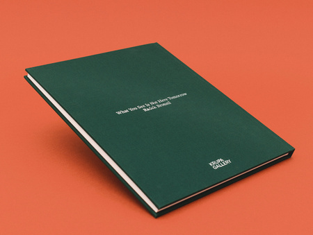 What you see is not here tomorrow - katalog z wystawy Radek Brousil