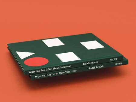What you see is not here tomorrow - katalog z wystawy Radek Brousil