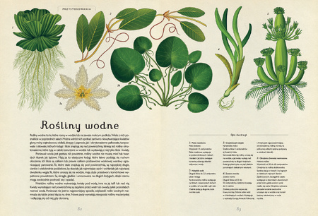 Botanicum