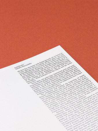 What you see is not here tomorrow - katalog z wystawy Radek Brousil