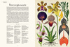 Botanicum