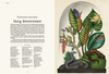 Animalium