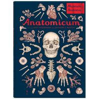 Anatomicum