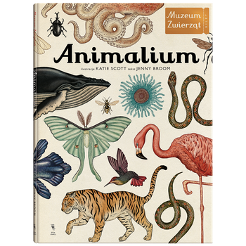 Animalium
